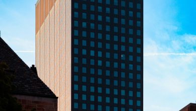 Correcting dominance behavior in multi-pet households