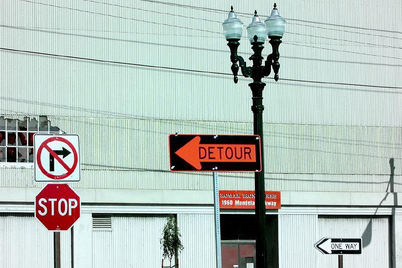 Incorporating Positive Reinforcement in Advanced Training ‌Sessions