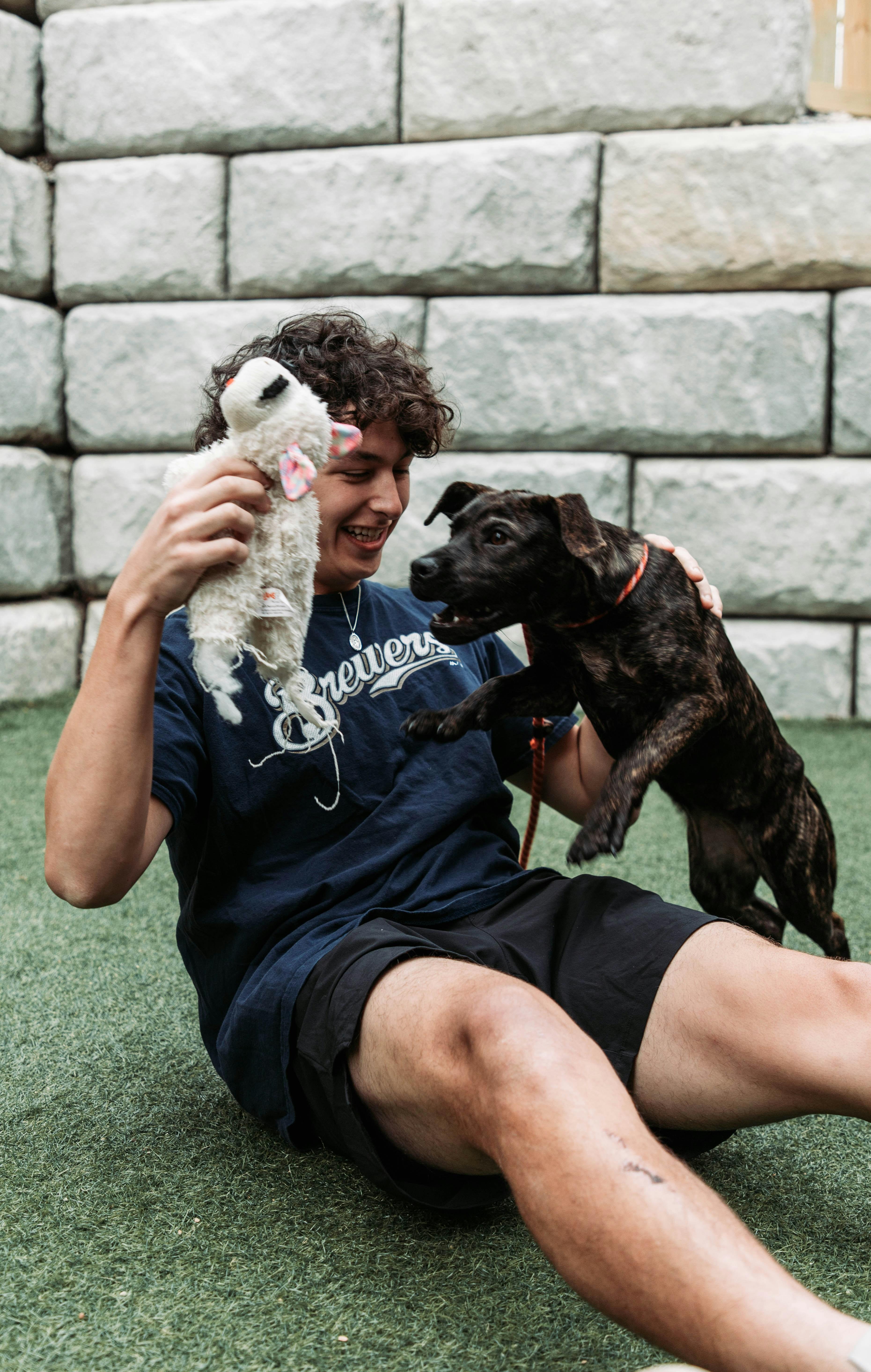 Understanding the Root Causes of Aggressive Behavior in Pets