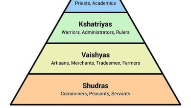 Understanding the Social Hierarchy in Multi Pet Homes