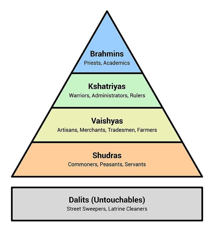 Understanding the Social Hierarchy in Multi Pet Homes