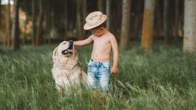 Are Pets Capable of Loving Their Owners as Much as We Love Them