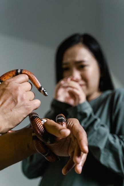The Connection Between Fear and Aggression in Pets