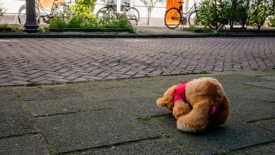 The Best Way to Manage a Dog’s Fear of Loud Noises