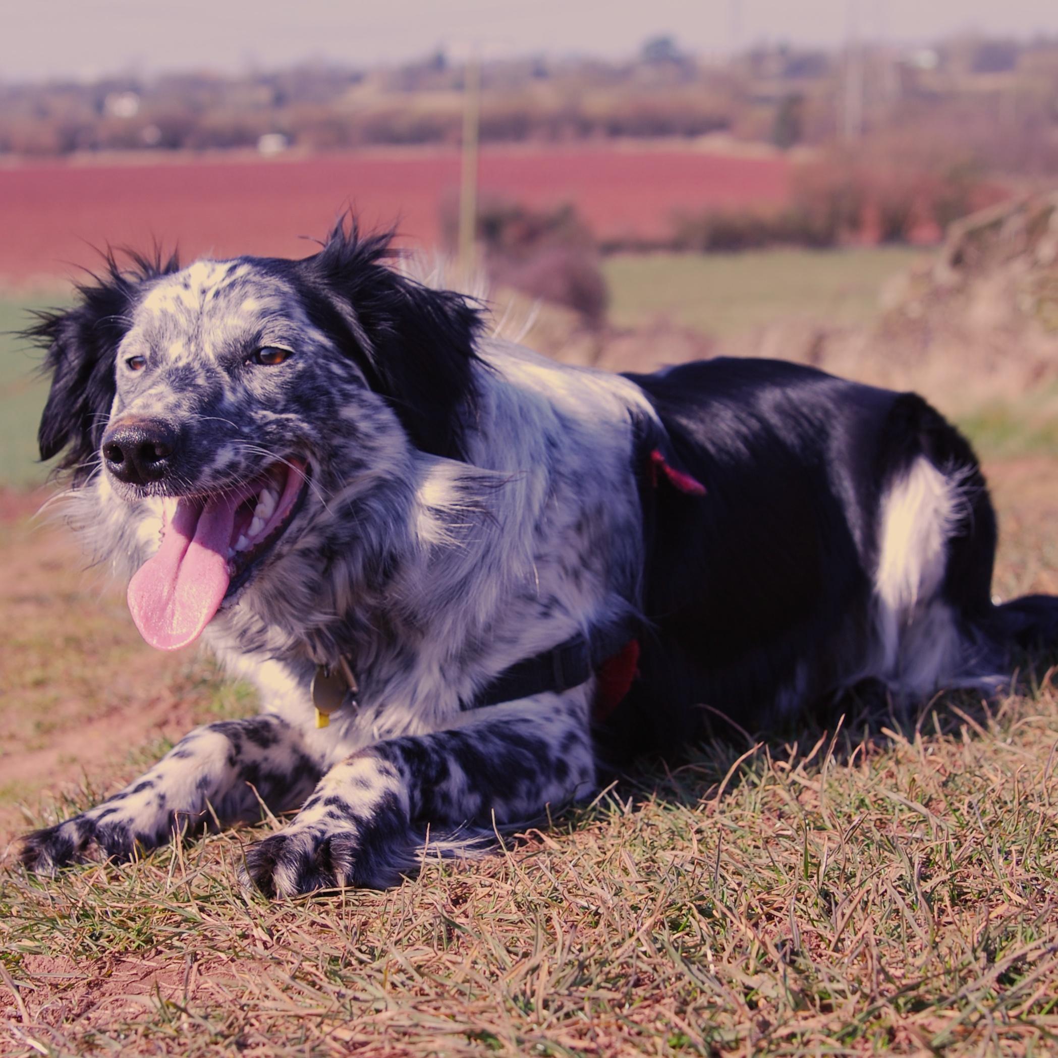 Exploring the Bond: How <a href=