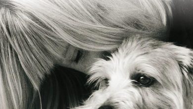 How to Help Dogs With Social Anxiety in Public