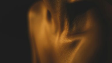 Understanding pet body language for better communication