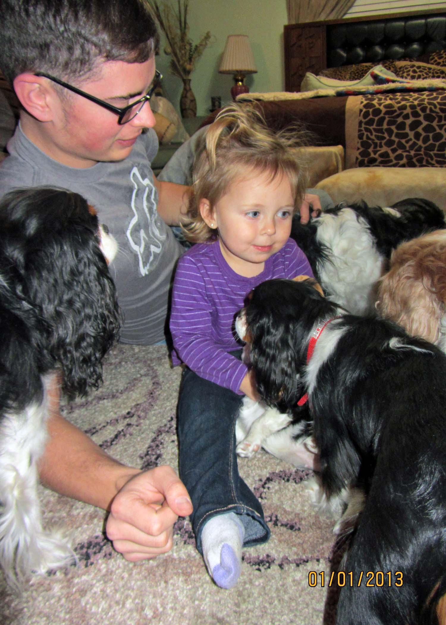 Understanding Puppy Socialization: Balancing Interaction and Isolation