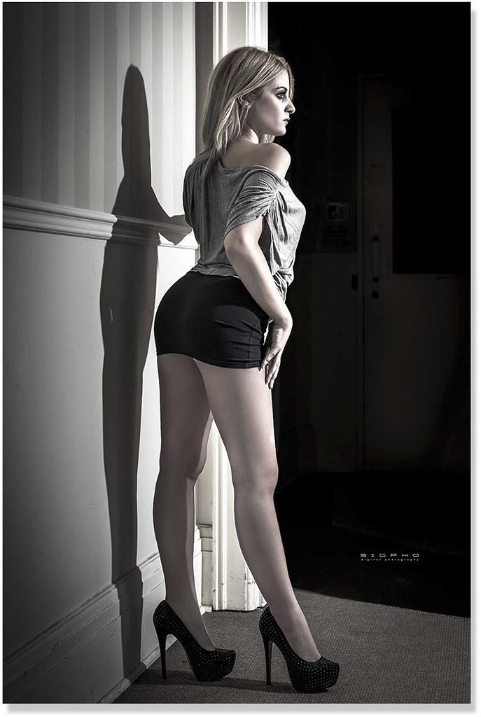 Positive reinforcement strategies for reducing anxiety in dogs