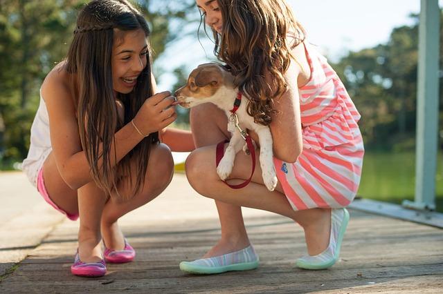 Is It Safe to Let Puppies Play With Larger Dogs