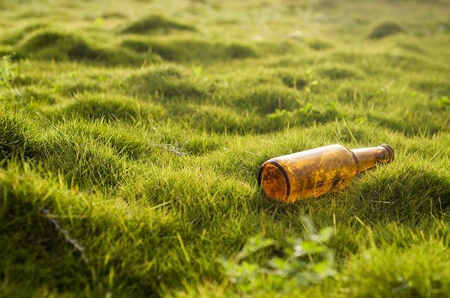 The Role of Environmental Enrichment in Shaping Pet Behavior
