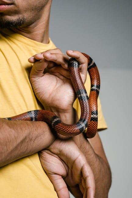 Recognizing Signs of Stress and Anxiety in Pets