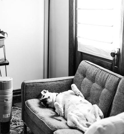 Best ways to stop a dog from chasing other animals