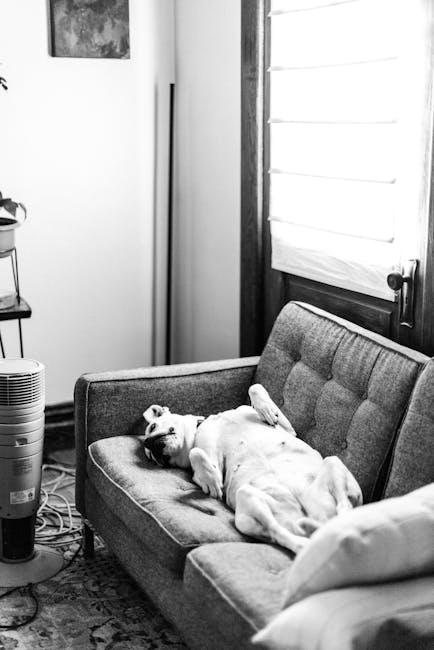 Best ways to stop a dog from chasing other animals