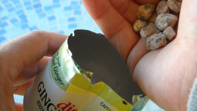 How to Teach Your Dog to Stop Jumping on Furniture