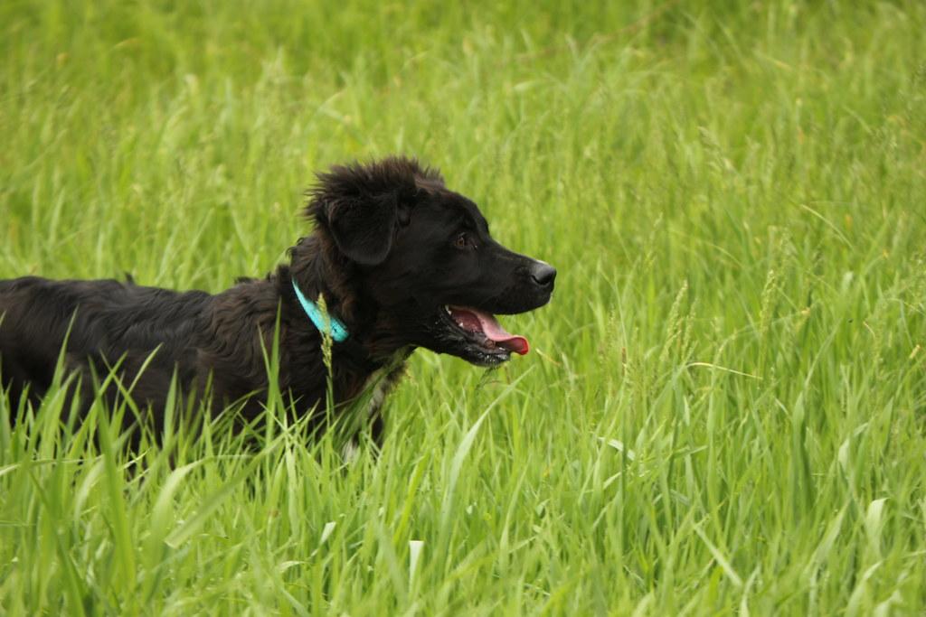 The Role of Gradual Exposure in Fear Reduction