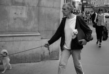 Socialization Tips for Older Dogs to Adapt to New Environments