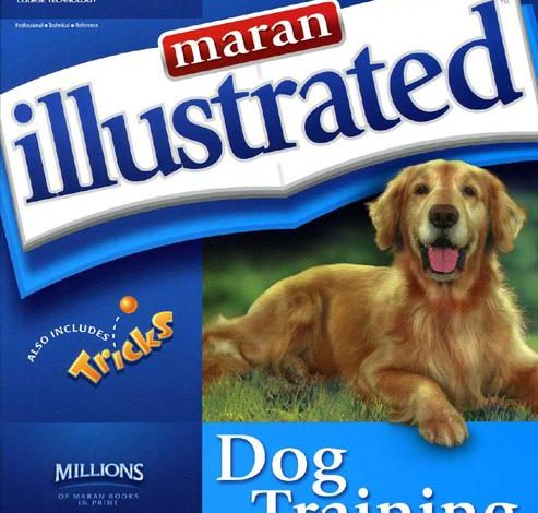 Best training techniques to stop barking on command