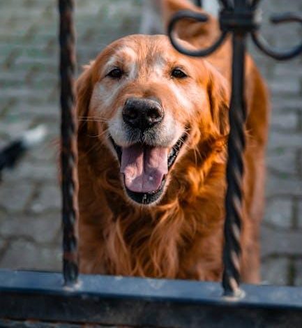 The Psychology Behind Your Dog’s Need for Constant Attention