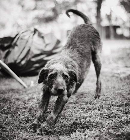 Correcting barking behavior during walks