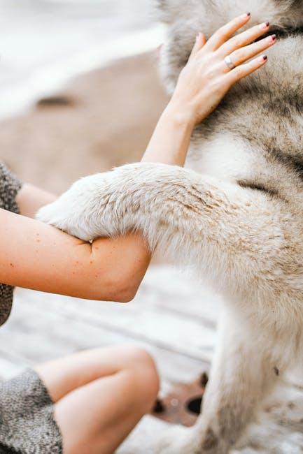 Practical Tips for Choosing a Breed Based on Personality Traits