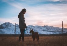 Are Leash Corrections Still Necessary for Advanced Training