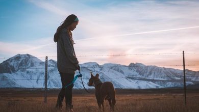 Are Leash Corrections Still Necessary for Advanced Training