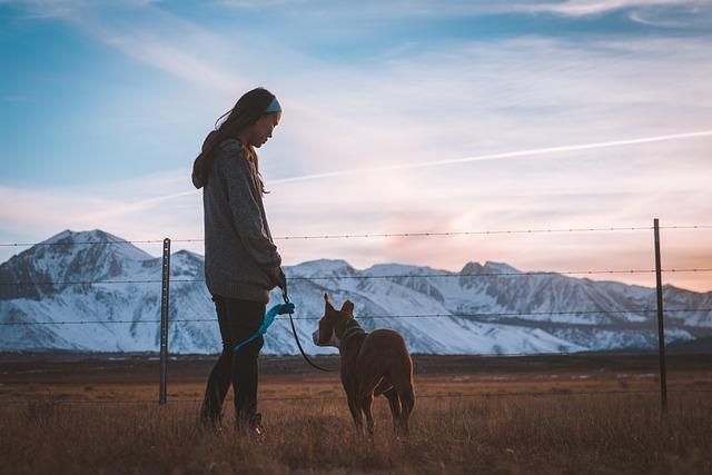 Are Leash Corrections Still Necessary for Advanced Training