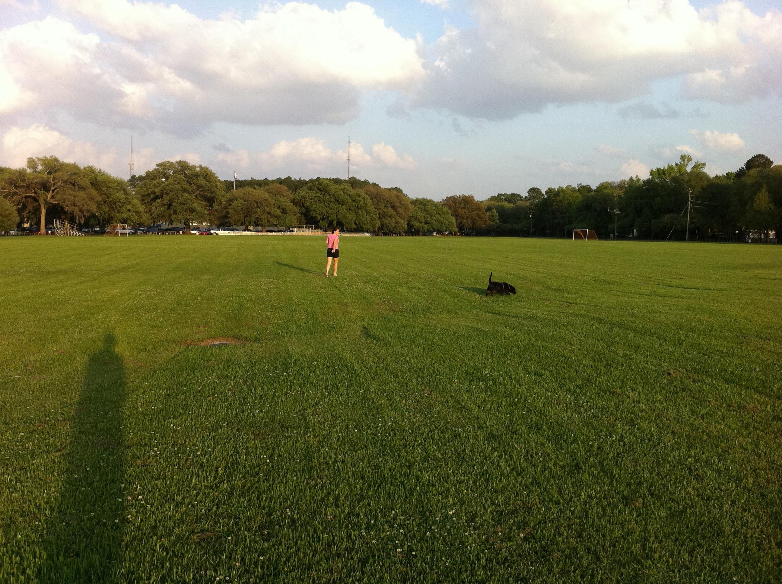Understanding the Basics of Leash-Free Walking
