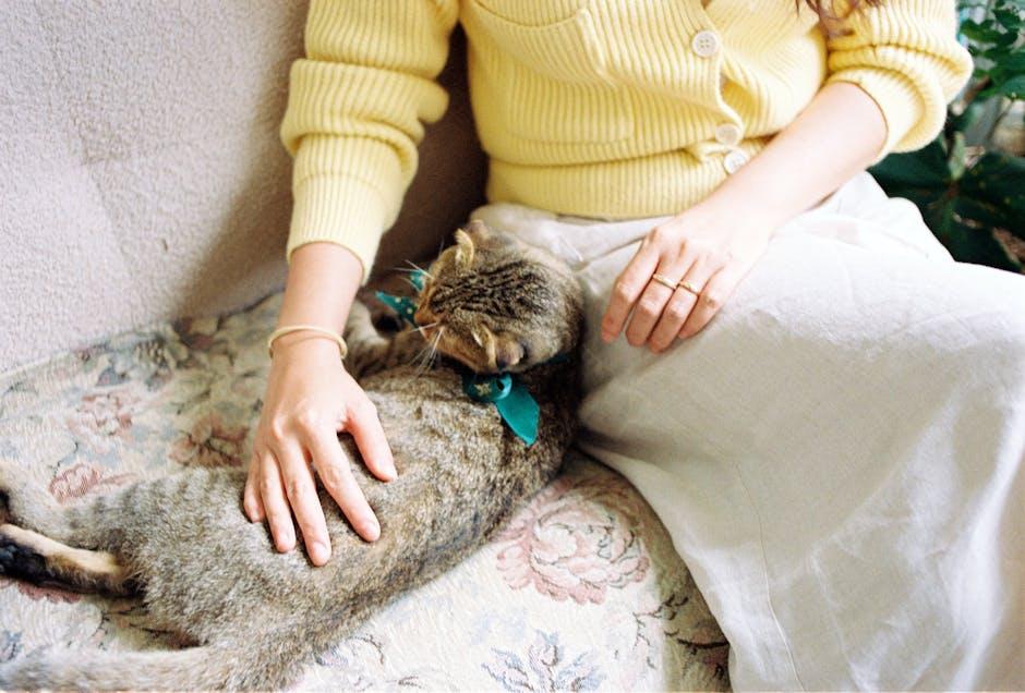 Understanding the Bond: How Pets Form Attachments to Their Humans