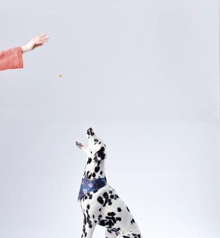 Best Methods to Train a Dog to Stop Chasing Small Animals