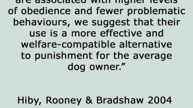 Can Punishment Based Training Cause Psychological Harm to Pets