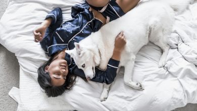 Should You Allow Your Dog to Sleep in Your Bed