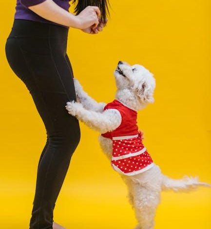 How to use positive reinforcement training to reduce barking