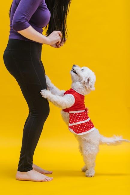 How to use positive reinforcement training to reduce barking