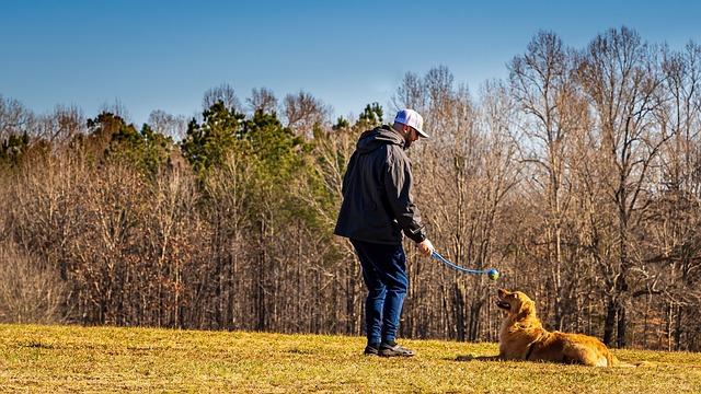 Adapting Sit-Stay Training for Different Dog Breeds