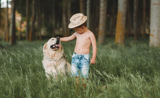 Exploring the Risks and Benefits of Dog-Child Interactions