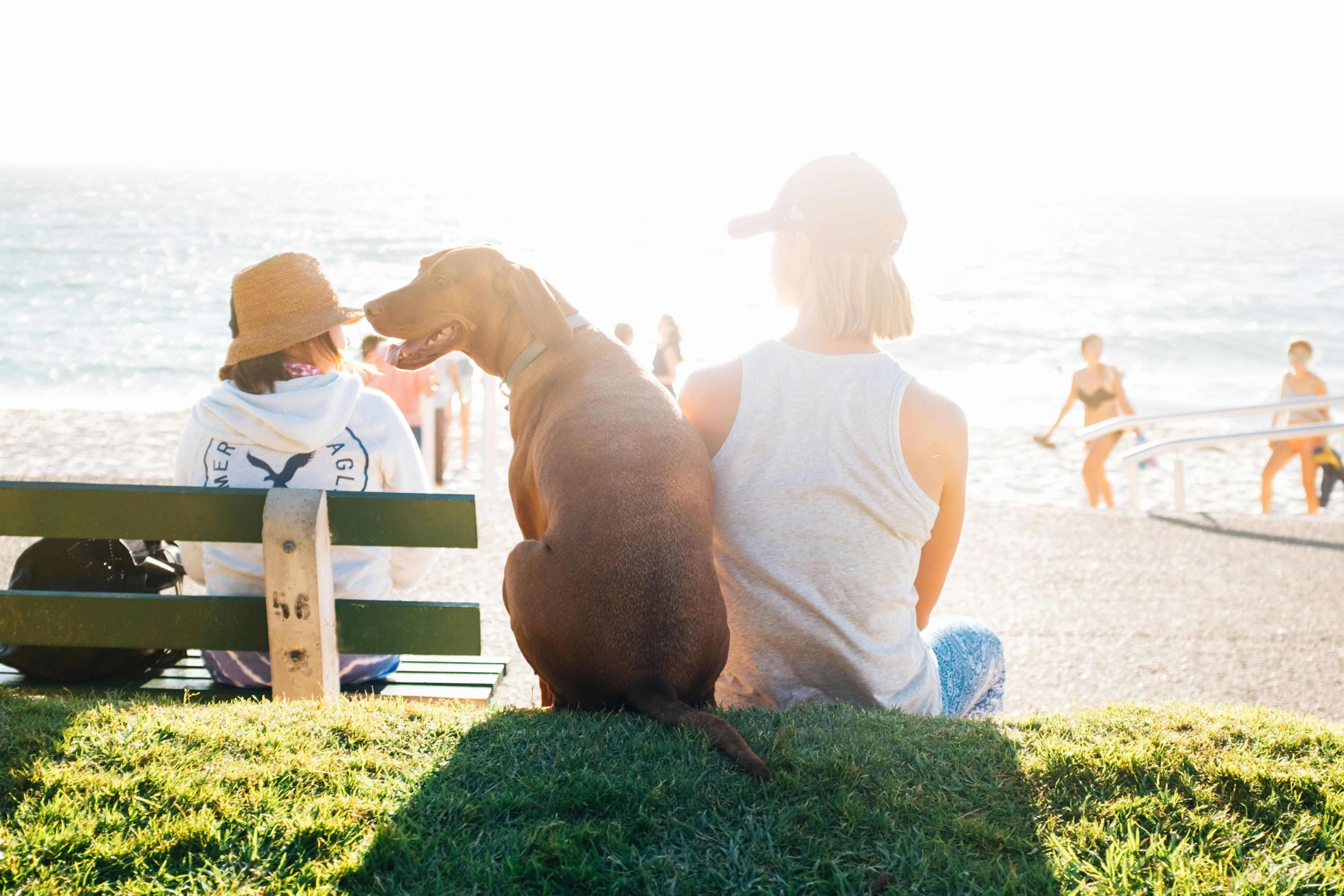 Emotional Benefits of Strong Pet Bonds