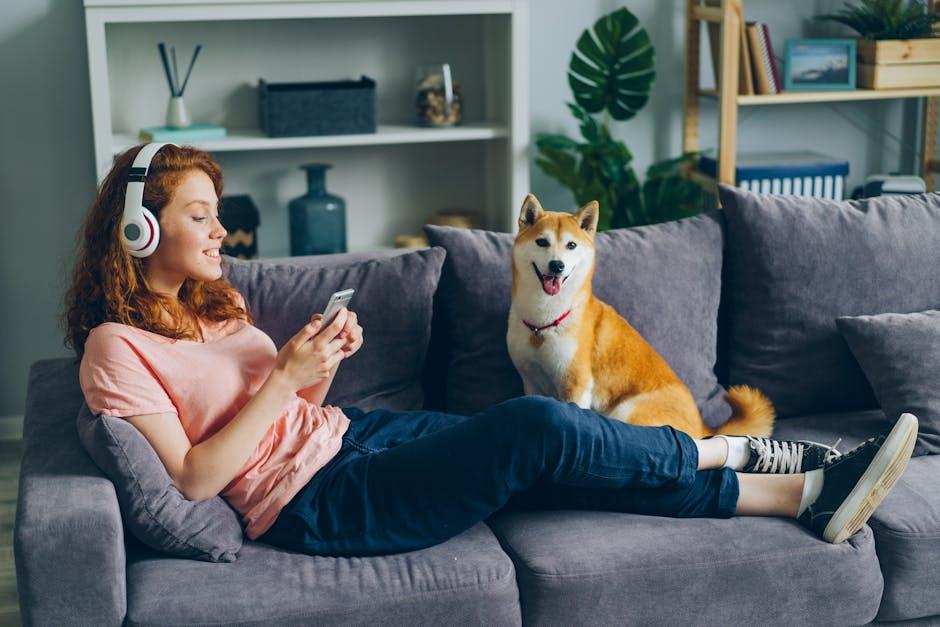 How to expose your dog to new sounds and experiences safely