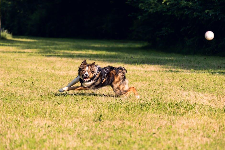 Implementing Training Techniques to Manage Protective Instincts