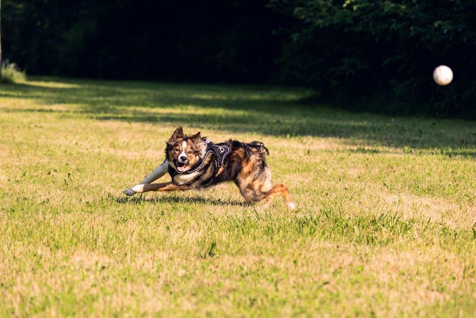 Implementing Effective Training Techniques