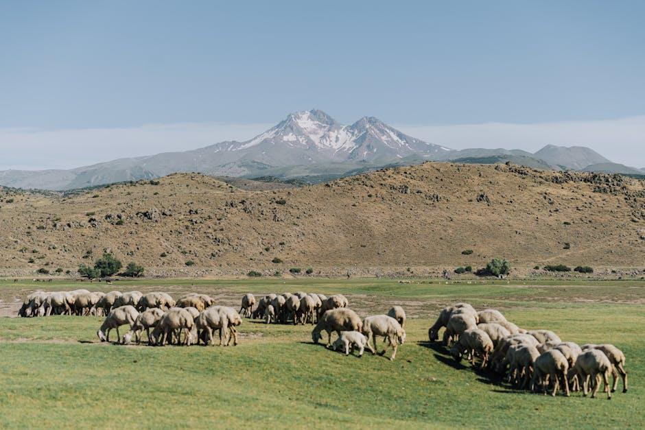 Understanding the Origins of Herding Instincts