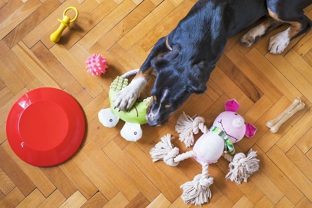 Utilizing Chew Toys and Alternatives for Dogs