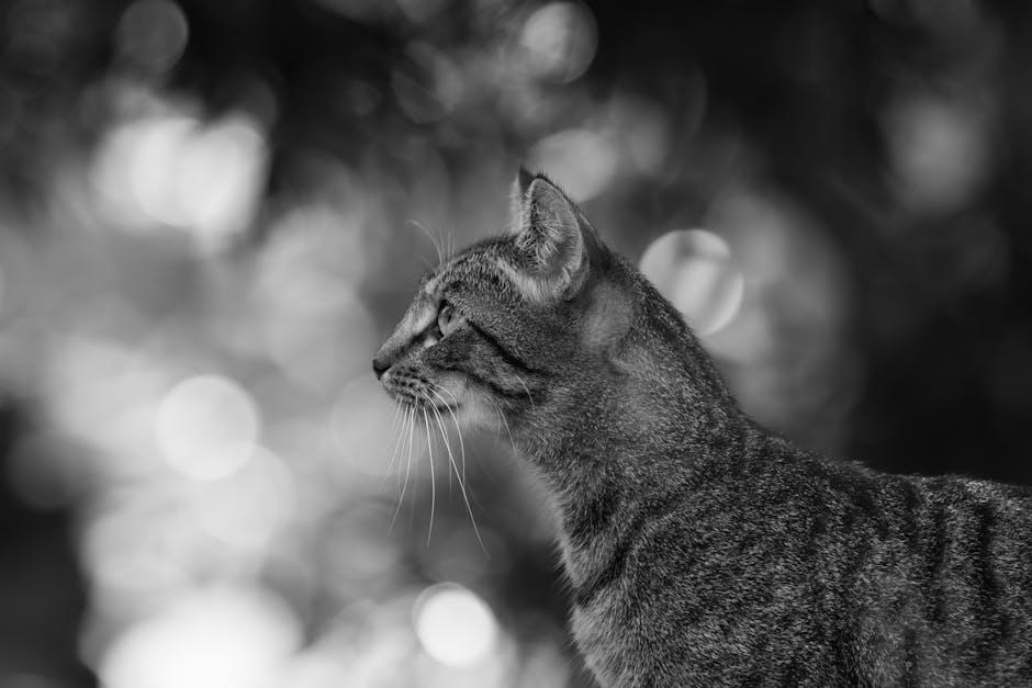 Understanding the Feline Mind: Why Cats Explore Their World