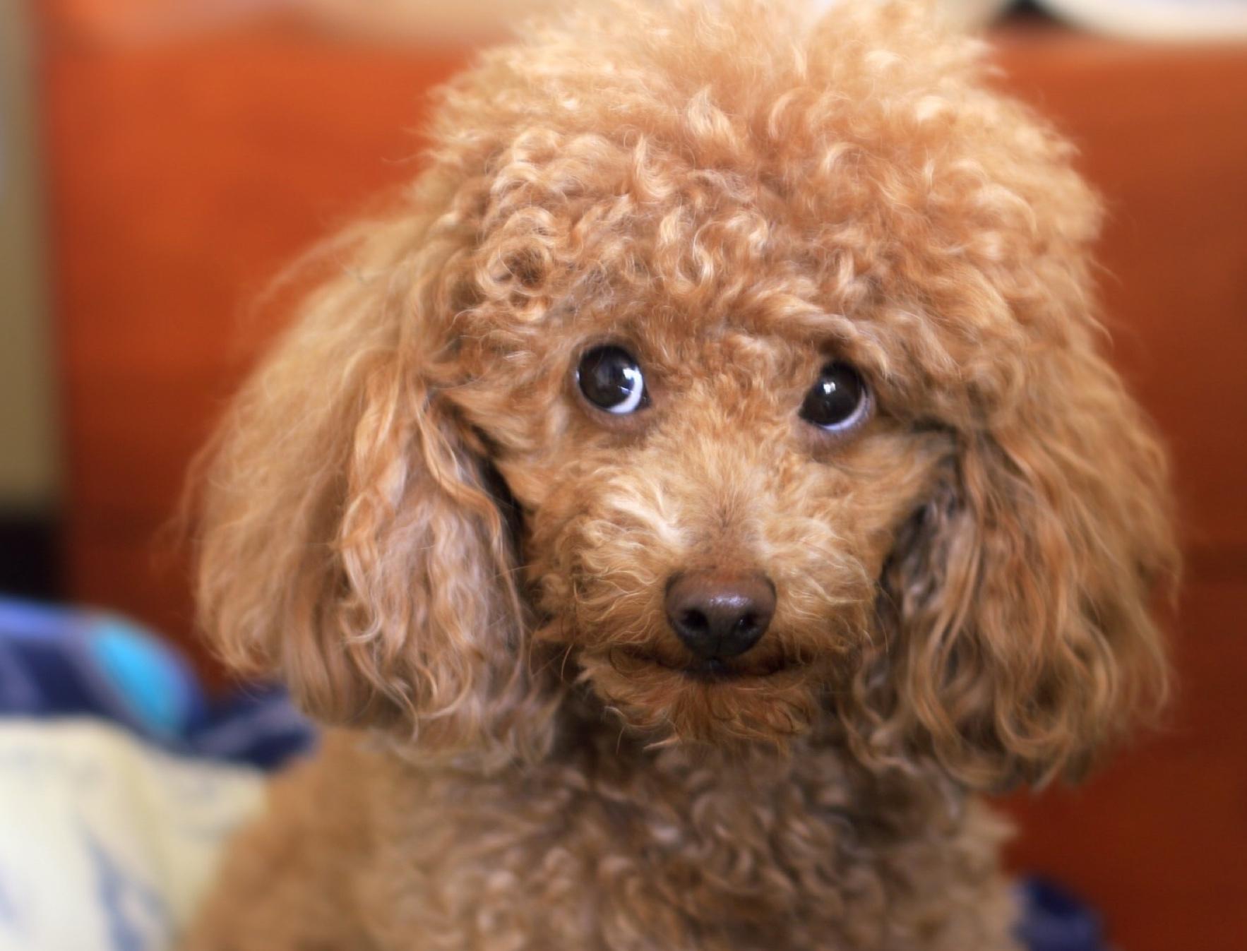 Creating a Safe and Stimulating Environment