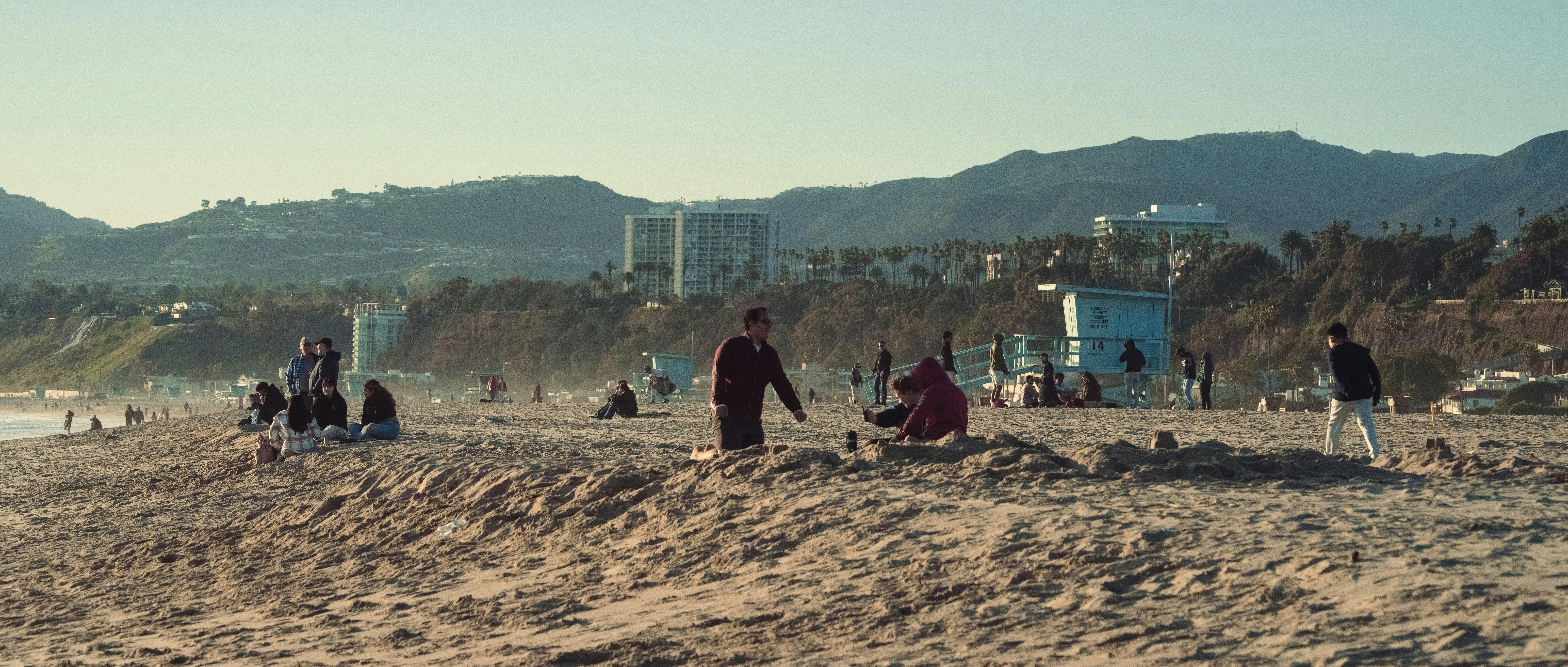 Creating a Safe and Encouraging Environment for Your Dog