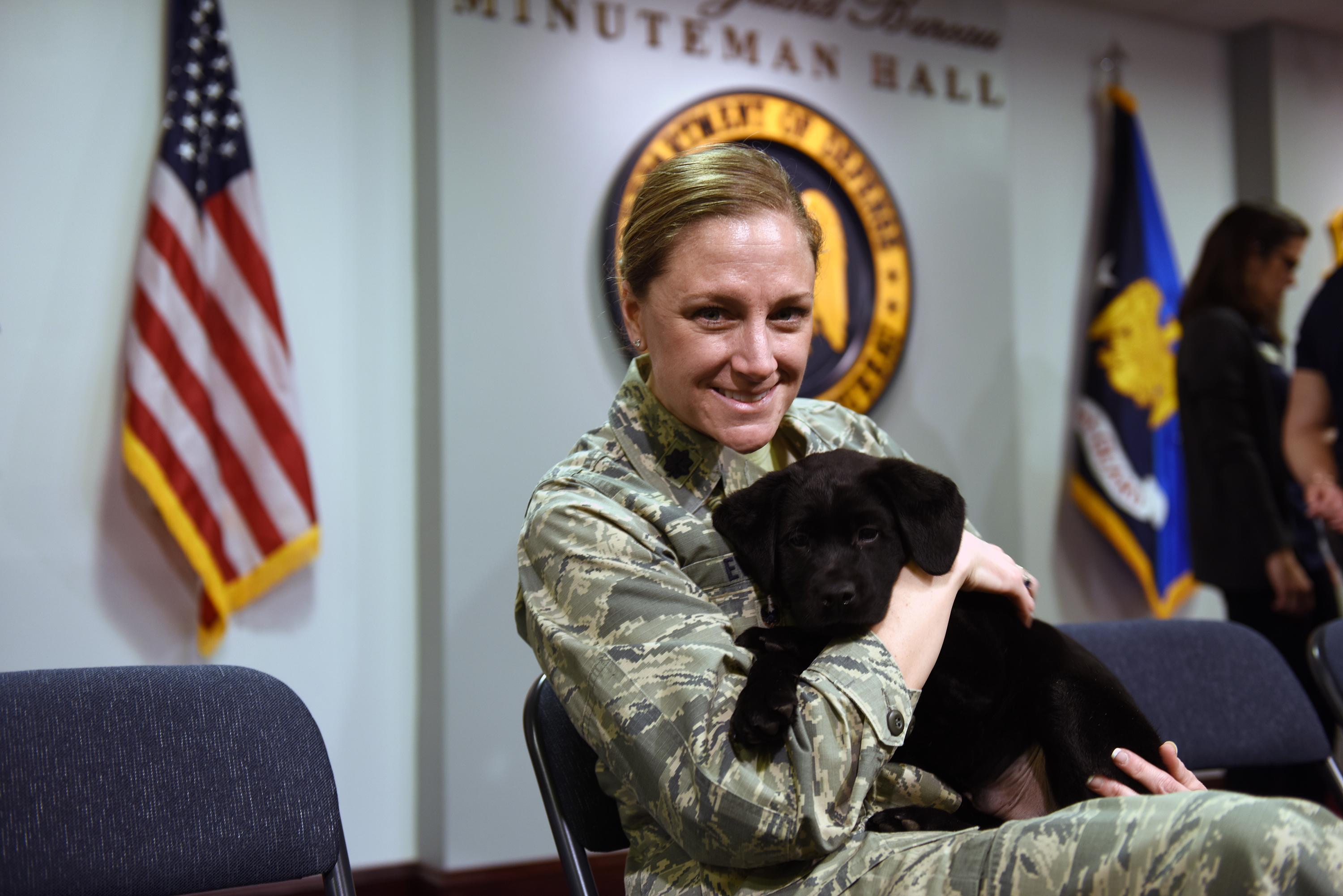 Creating Harmony: Techniques for Training Multiple Dogs Simultaneously