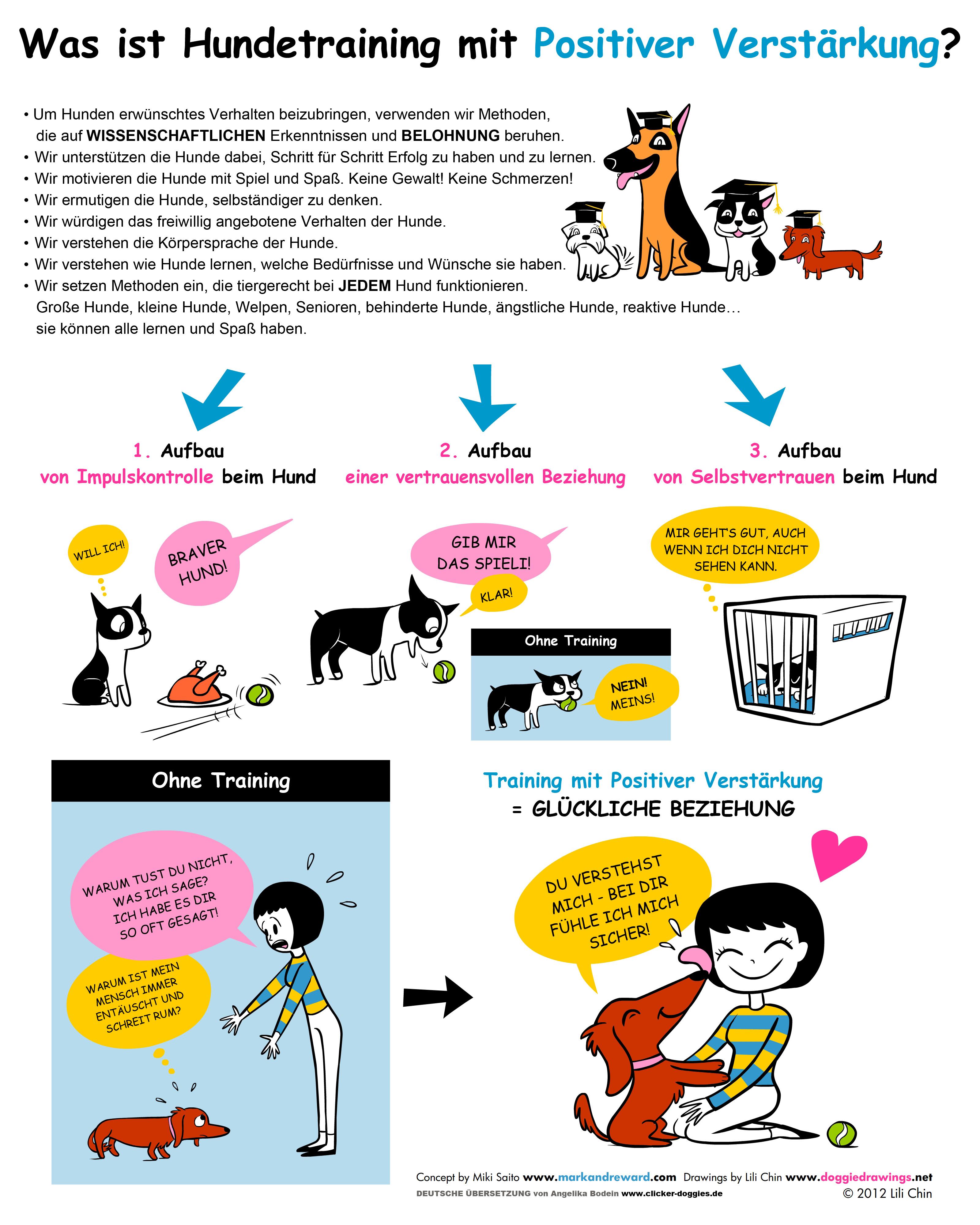 Using Positive ⁢Reinforcement to Encourage Attention