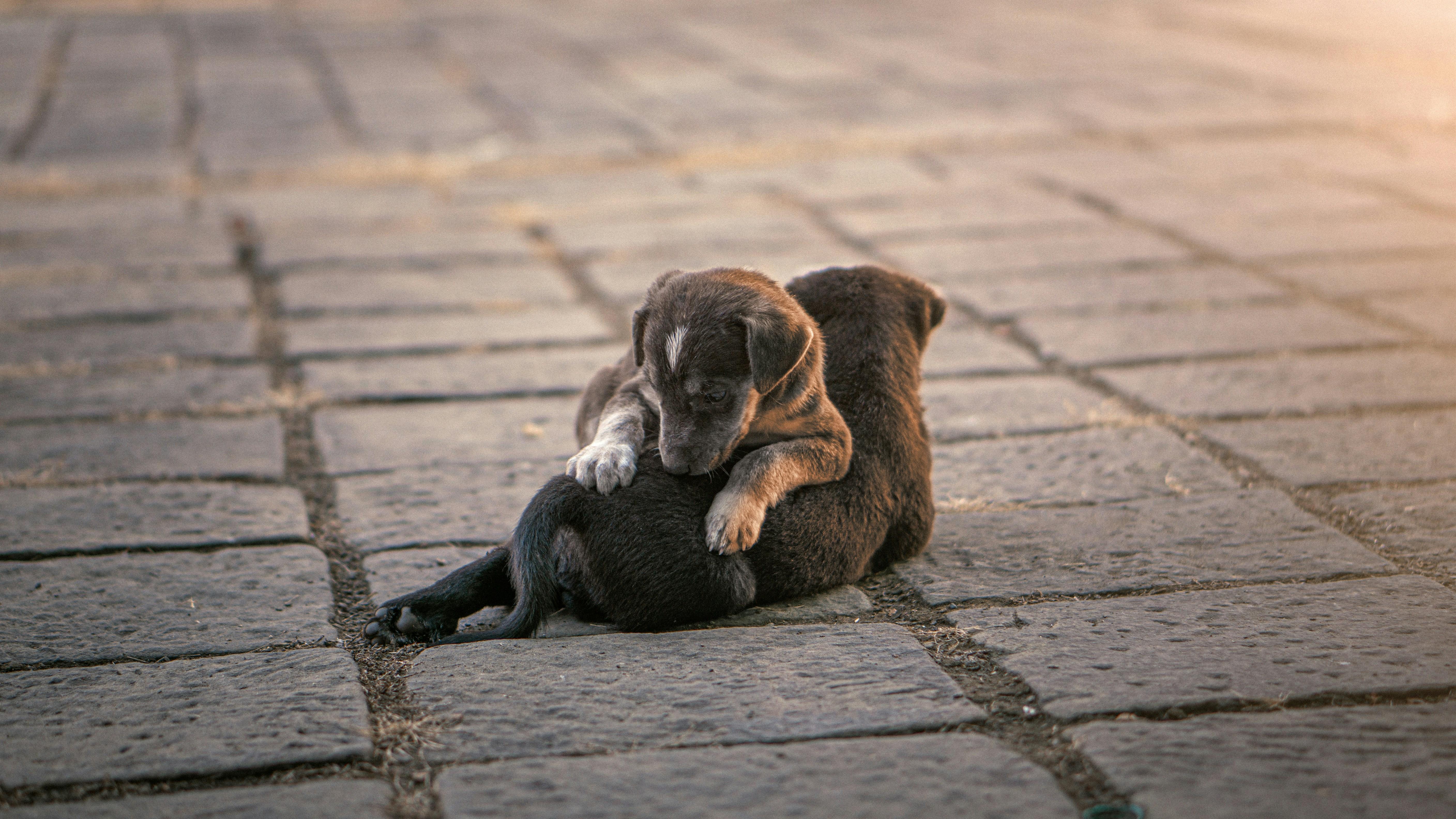 Building Trust: The First Step Towards Confidence