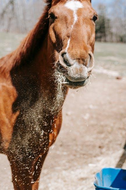 Creating a Safe Feeding Environment for Your Pet